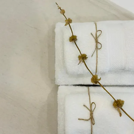 Green Suite Skiathos アパート スキアトスタウン